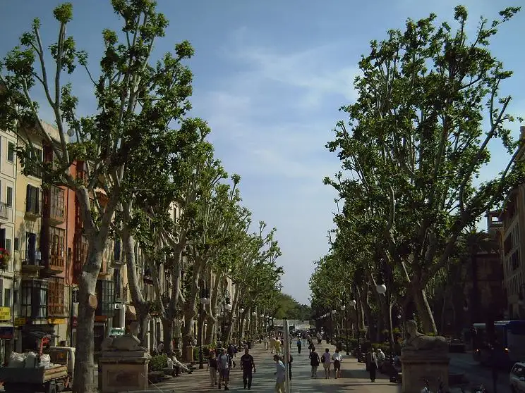 Paseo del Borne
