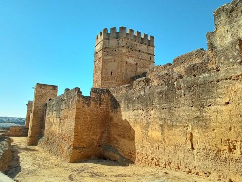 Los orígenes del Castillo de Alcalá