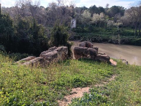 Molino del "Rabo de Zorra"