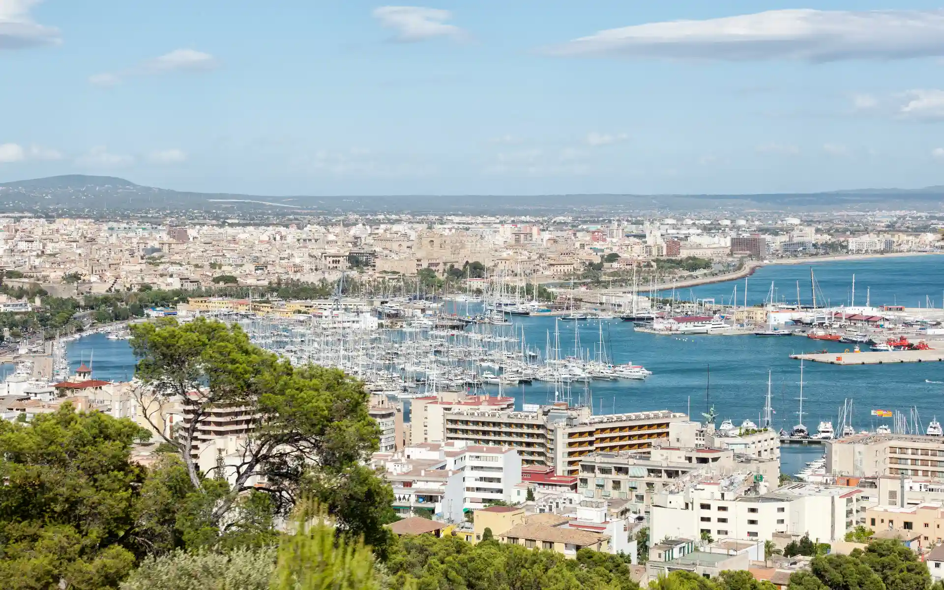Panorámica de Palma de Mallorca