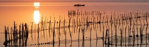 Parque Natural de L'Albufera