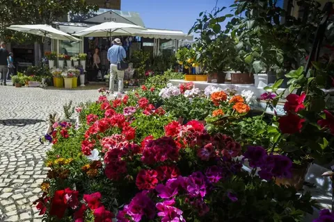 Plaza de las Flores