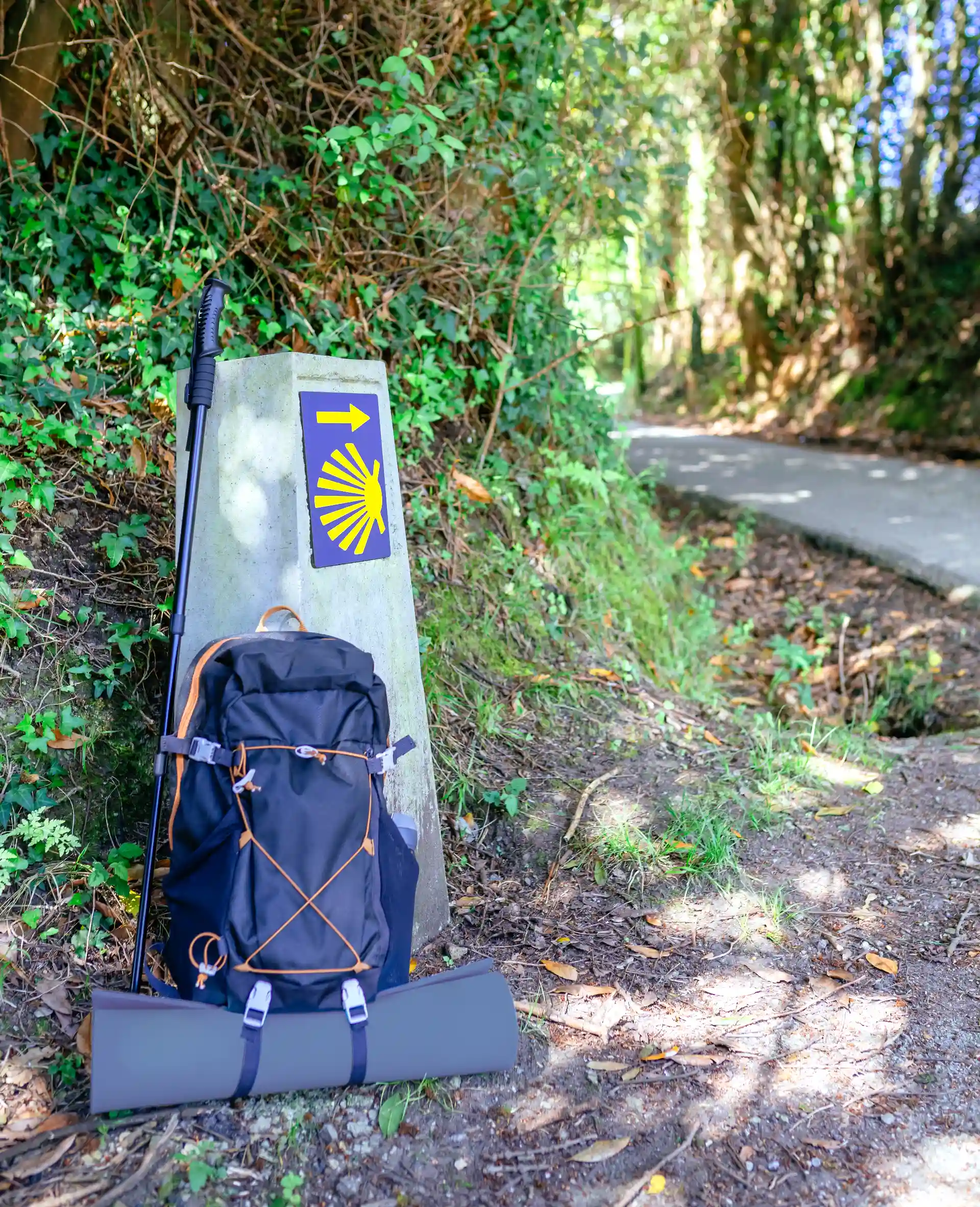 Camino de Santiago