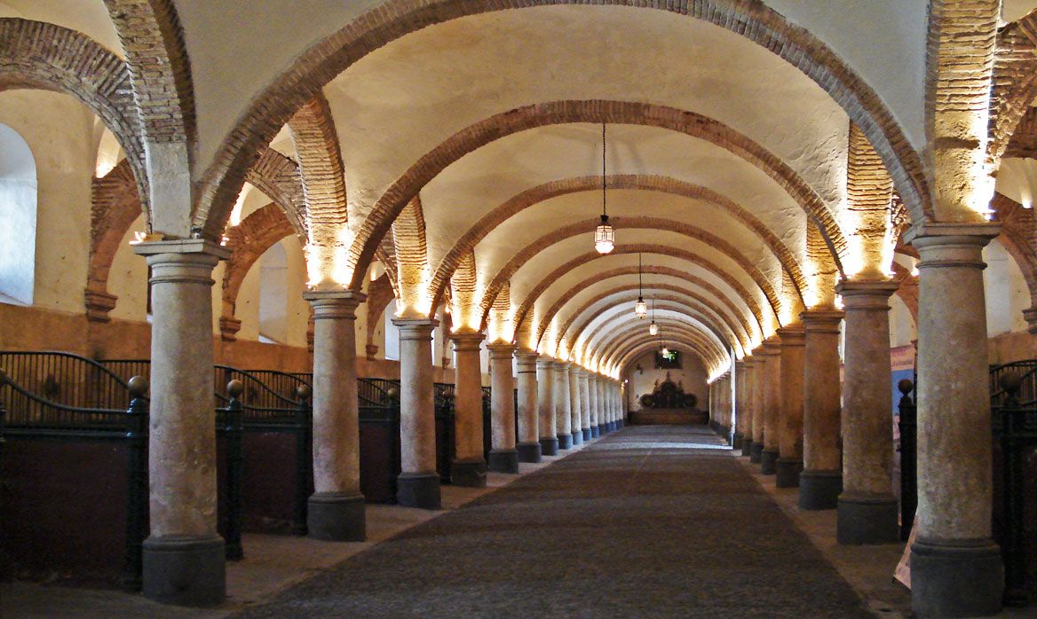 Immagine dell'articolo