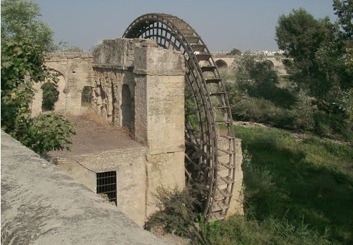 Immagine dell'articolo