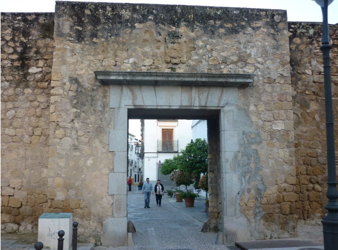 Immagine dell'articolo