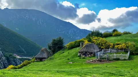 Brañas Vaqueiras