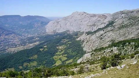 Braña de los Fuexos