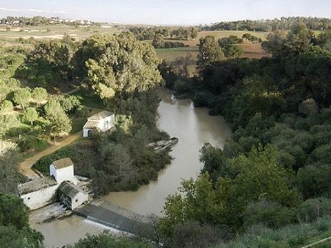 Molino de Benarosa