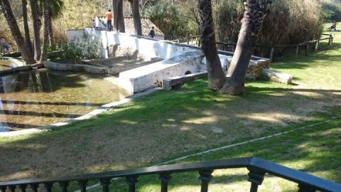 Molino de San Francisco