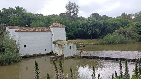 Molino de Oromana