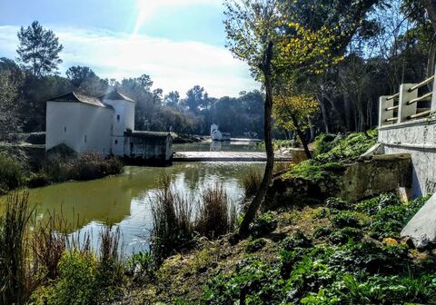 Monumento Natural Ribera del Guadaíra