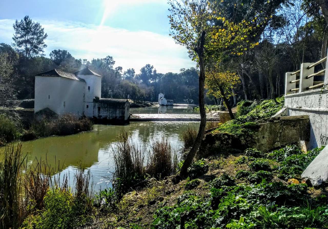 Naturdenkmal Flussufer des Guadaíra