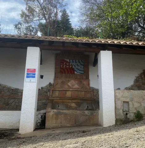 Fuente Temprana