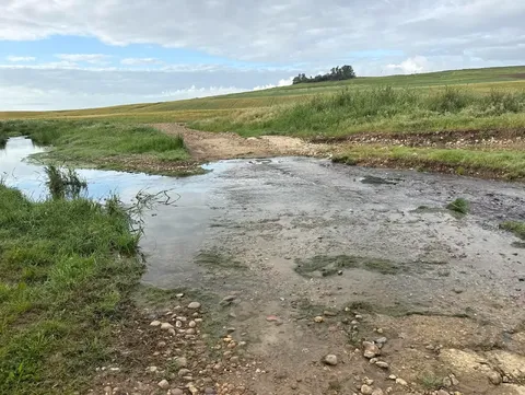 Camino de la Frontera: La Campana - Lora del Río