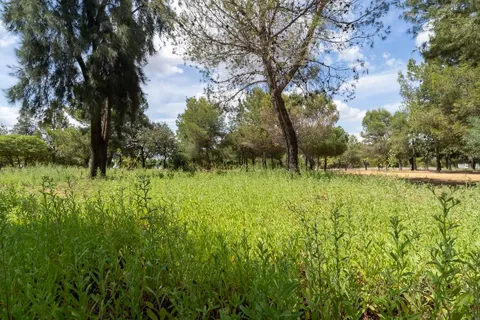 Parque de la Atalaya
