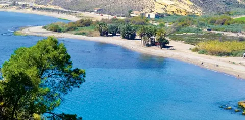 Playa de las Palmeras