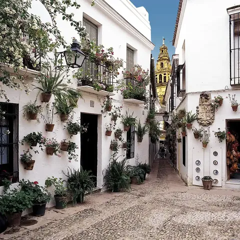Calle de las Flores