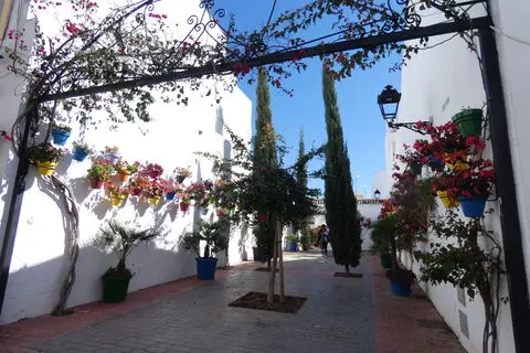 Estepona paso a paso en 2h