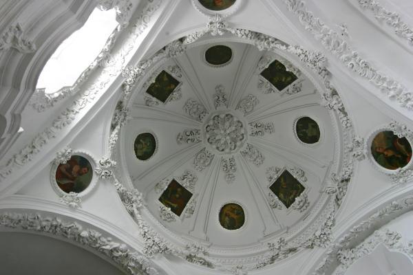 Immagine dell'articolo